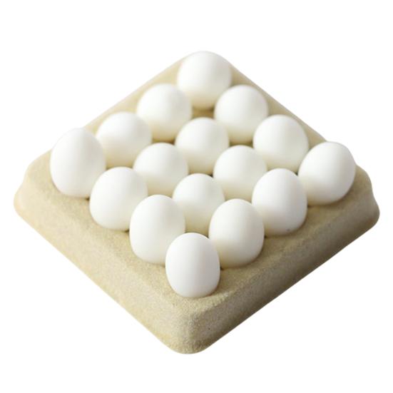 Kompakte DIY Puppenhaus Miniaturen Kreativ Lustig 1:Zubehör für Eierablagen im Maßstab 12 weiß