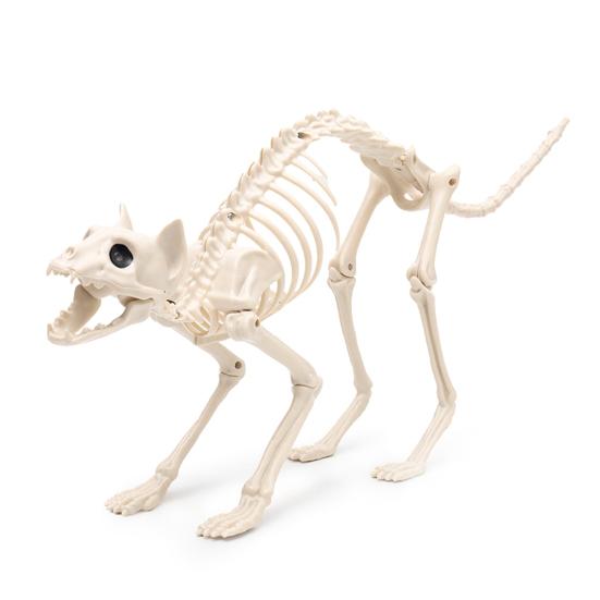 Halloween Skelett Katze Dekoration Horror Plastik Kätzchen Skelett Knochen Dekoration mit Beweglichem Kiefer Hals Schwanz für Halloween Party Heim Hof Deko A
