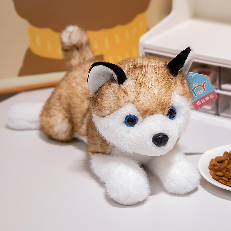 30-50cm Niedlicher Husky Simulierte Plüschpuppen Weiches Hundekissen Kawaii Tiere Spielzeug Glückliche Geburtstagsgeschenke Für Mädchen Jungen Heimdeko about 30cm beige
