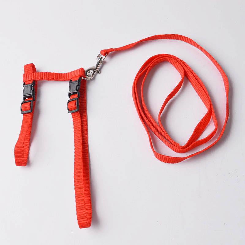 Verstellbarer Haustier-Traktionsgürtel, Katzenhalter, kleines Haustier-Hundegeschirr und Leine-Halsband rot