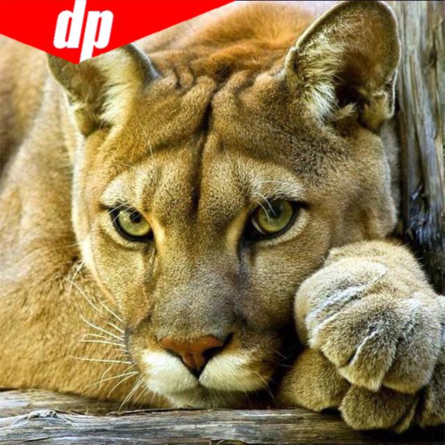 DIY 5D Diamant Mosaik Löwe Tiger handgemachte Diamant Malerei Kreuzstich Kits Diamant Stickerei 30x30