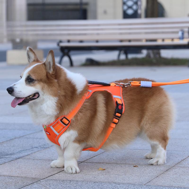 Explosionssichere Hundeleine Weste Mittelgroßer Hund Französische Bulldogge Corgi Verstellbarer Brustgurt Hundeleine Hundekette XL