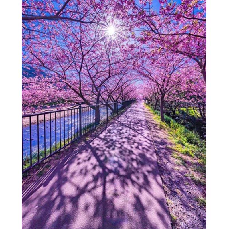 Diamant-Stickerei voller Diamant-Kunsthandwerk, Verkauf, 3D-Diamant-Malerei, Kirschbaum-Bild, Heim-Diamant-Dekoration Full Square 20X30CM