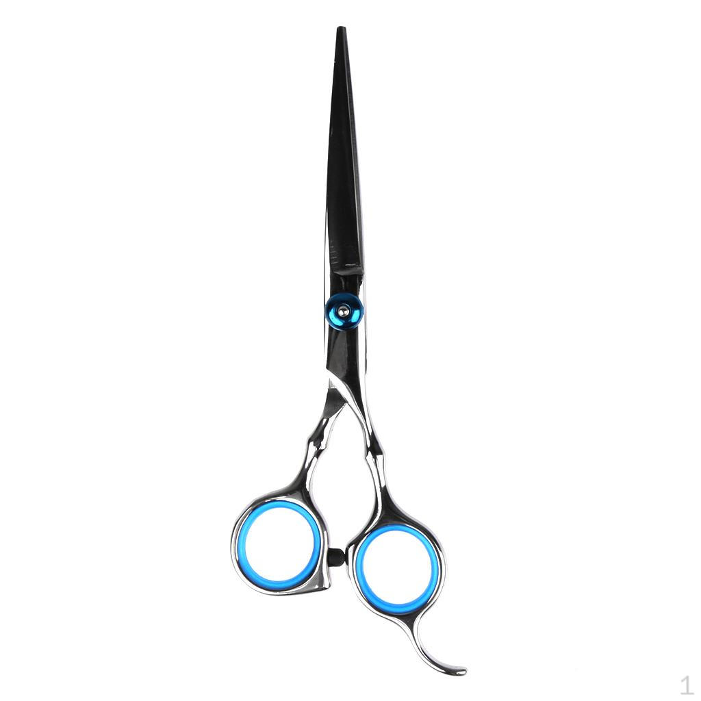 Professionelle Haarschere Friseur 6 Zoll 15,5 cm