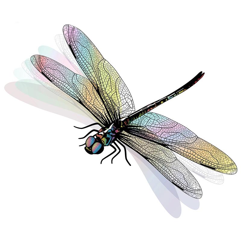 Realistische Insekten Libelle Wandaufkleber Badezimmer Toilette Wohnzimmer Schrank Kühlschrank Heimdekoration Abziehbilder Wasserdichter Aufkleber M247 C-10cm Longest Side