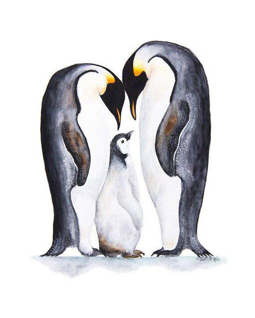 5d Diy Broderies Diamanten Delfin Familie Tier Mosaik Diamant Gemälde Volldiamant Stickerei 20X30