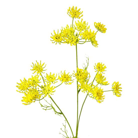 3 Gabeln, exquisite künstliche Spitzenblume, kein Welken, schöne künstliche Spitzenblume mit grünen Blättern gelb