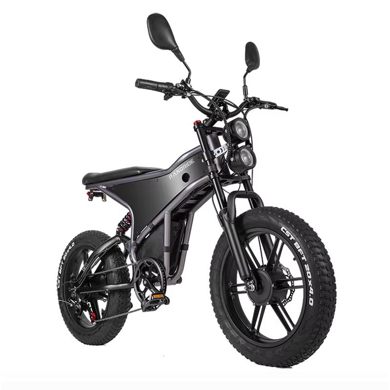 RANDRIDE DM711 Elektrofahrrad 20 Zoll Fat Tire BikeEU Warehouse Fahrrad Dual Motor 500W*2 20Ah Elektro Dirt Bike Doppelscheibenbremsen Black