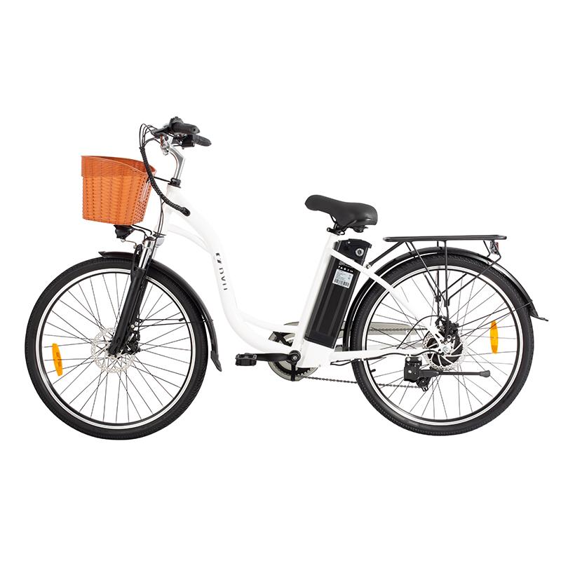 DYU-C6 weiß/schwarz 350W Motor 36V12.5AH Batterie 26 * 1.95 Zoll Reifen Höchstgeschwindigkeit 25KM/H abnehmbare Batterie Elektrofahrrad weiß