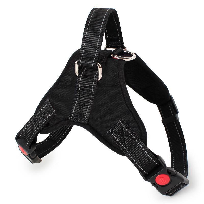 Labrador Hundeleine & Geschirr - Weste für mittelgroße & große Hunde XS: 5-10 lbs, customizable color