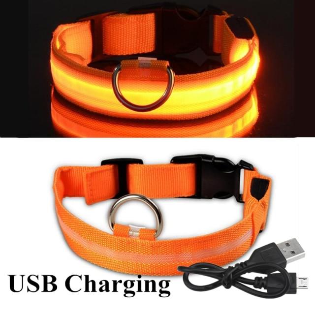 USB wiederaufladbare Haustier Hund LED leuchtende Kragen Haustier leuchtende blinkende Halskette Outdoor Walking Hund Nacht Sicherheitsbedarf XS(28-40cm)
