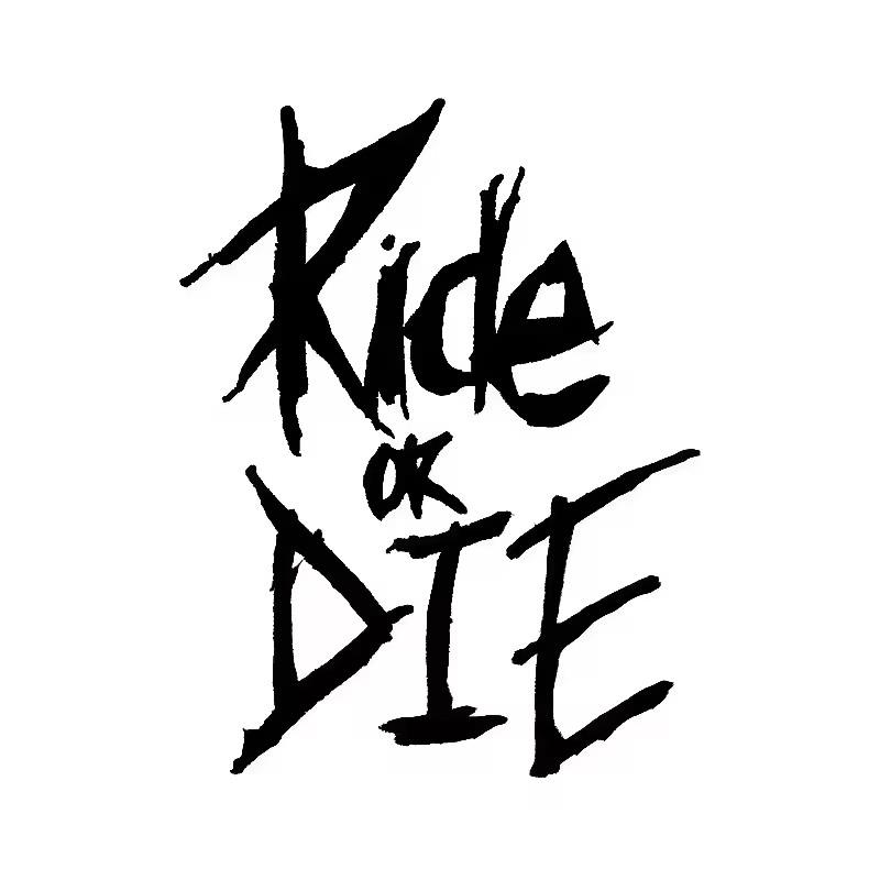 5,6 x 8 cm Fahrradrahmenaufkleber Ride or Die Oberrohraufkleber für MTB Fahrrad Dekorativer Rahmen Fahrrad Auto Motorrad Zubehör 5.6x8CM
