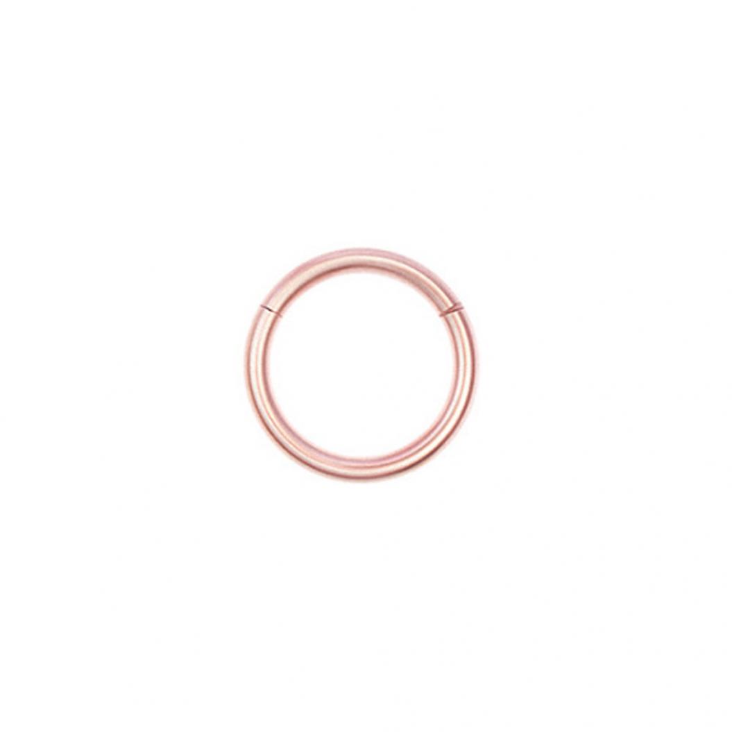 Edelstahl Nasenring Lippe Ohr Knorpel Body Piercing Septum Hoop Schmuck 1x10mm hellrosa