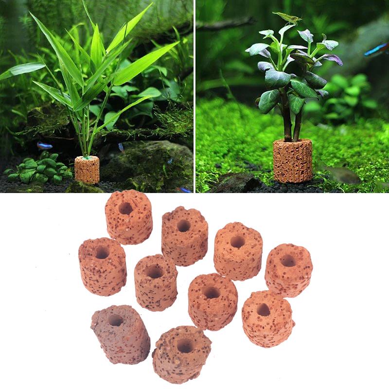 10Pcs Anlage Ring Aquarium Feste Wassertank Weightsholder Pflanzen Befestigung Werkzeug