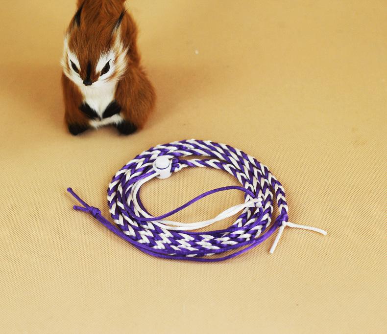 Haustierleine Zugseil Leine Spaziergang 1.4/2m Hamster Meerschweinchen Cobaya Kaninchen Frettchen Chinchillas Klein Halsband Leine 140CM violett