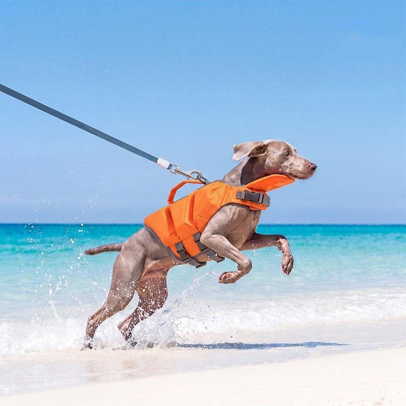 Sommer Hund/Katze Schwimmweste EPE Auftriebsweste Tragbar Super Groß Auftrieb Schwimmanzug Kleine und Mittlere Hundekleidung (as the picture,XS--1.5-2.5kg)