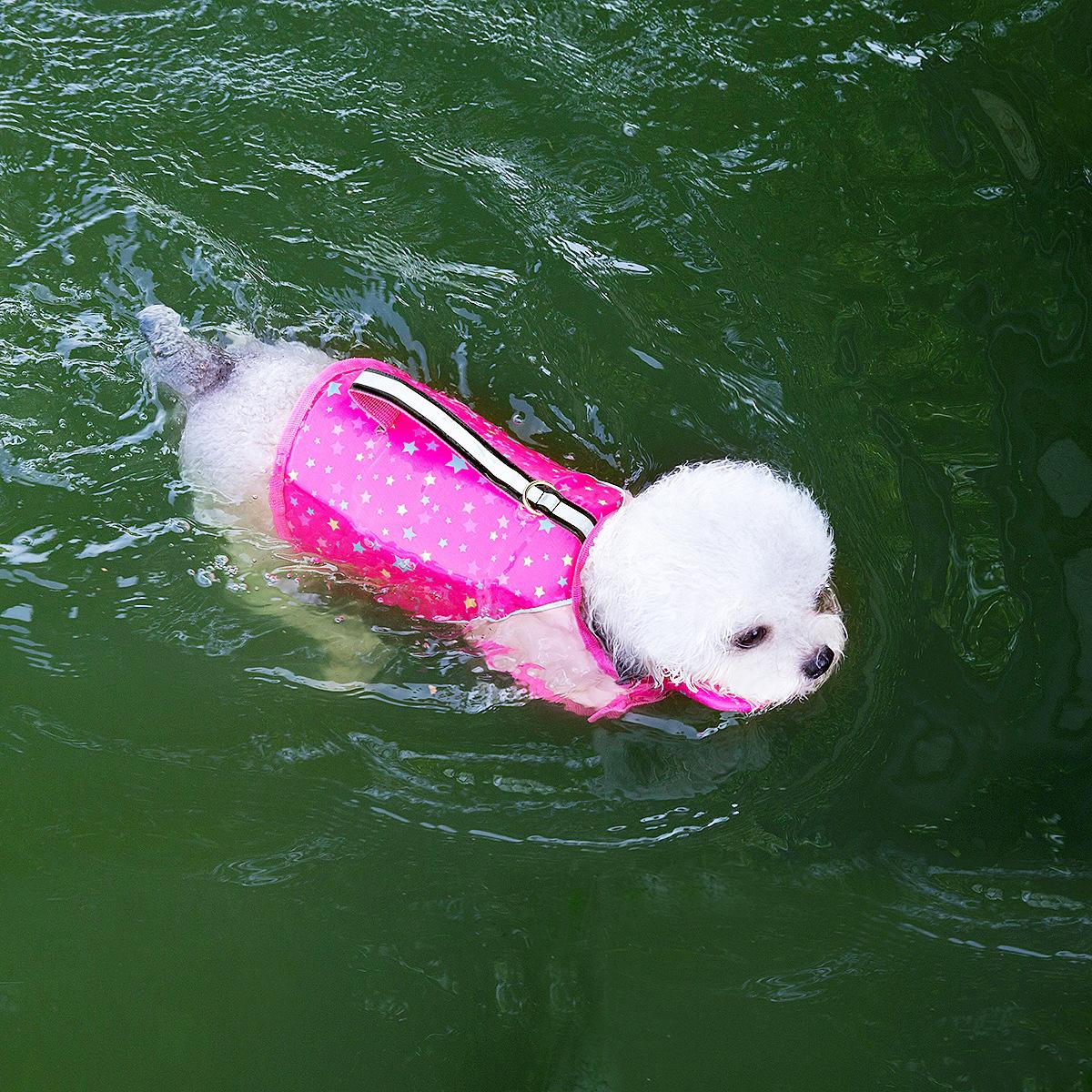 Schwimmweste Hund Sommer Schwimmweste Mit Abnehmbarem Frontschwimmer Verstellbar Hohe Schwimmfähigkeit Badeanzüge Für Kleine Mittlere Hunde Schwimmen (rose,M for 5-10kg) hellrosa
