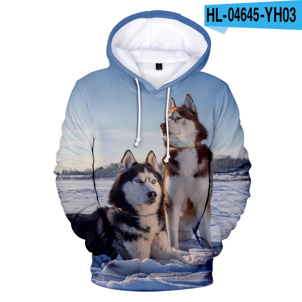 Tier Hund Husky 3D Druck Übergroßen Frauen/Männer Hoodie Sweatshirt Street Hip Hop Pullover Mit Kapuze Jacke Männlich Casual Sportswear L gray