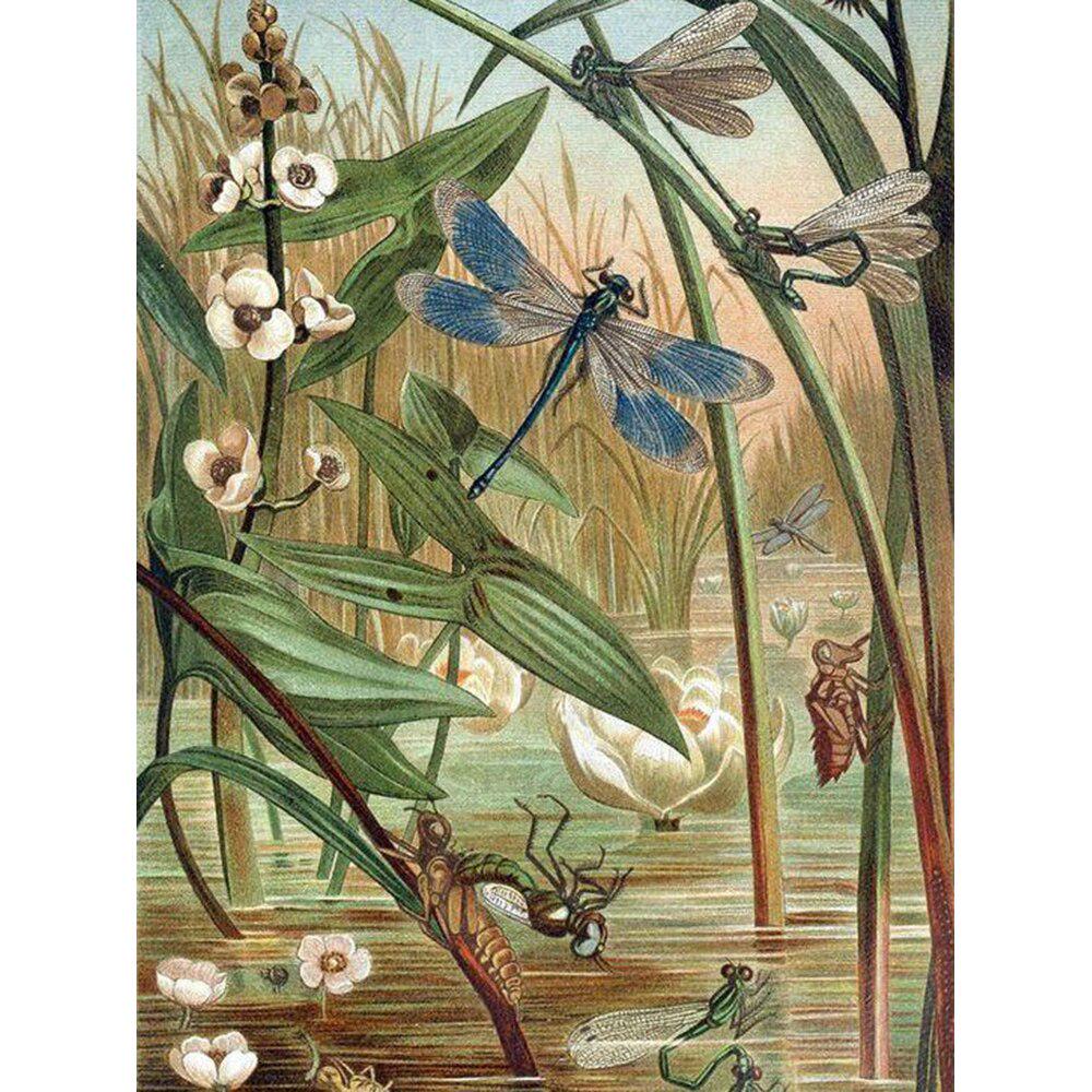 Diamantmalerei Tiere Libelle Bild Perlen Diamant Stickerei Tiere Malerei Strasssteine 20X30CM