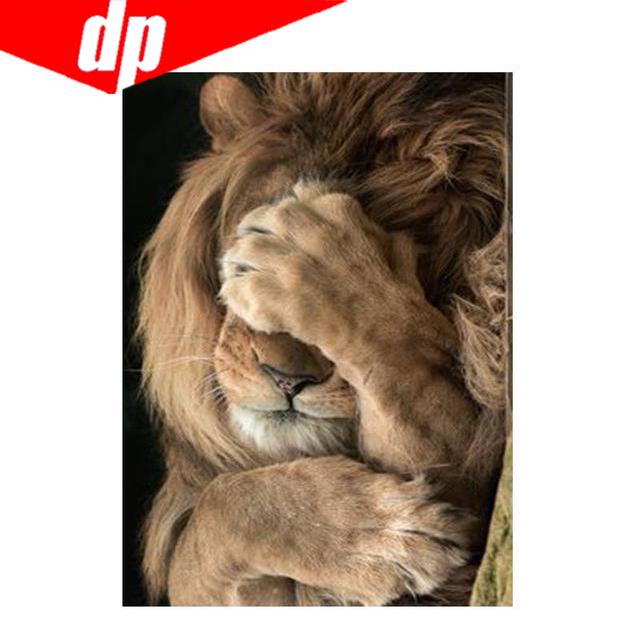 Tier Tiger Diamant Stickerei 5D DIY Diamant Malerei Kreuz Stich Bild Volle Runde Diamant 20X30