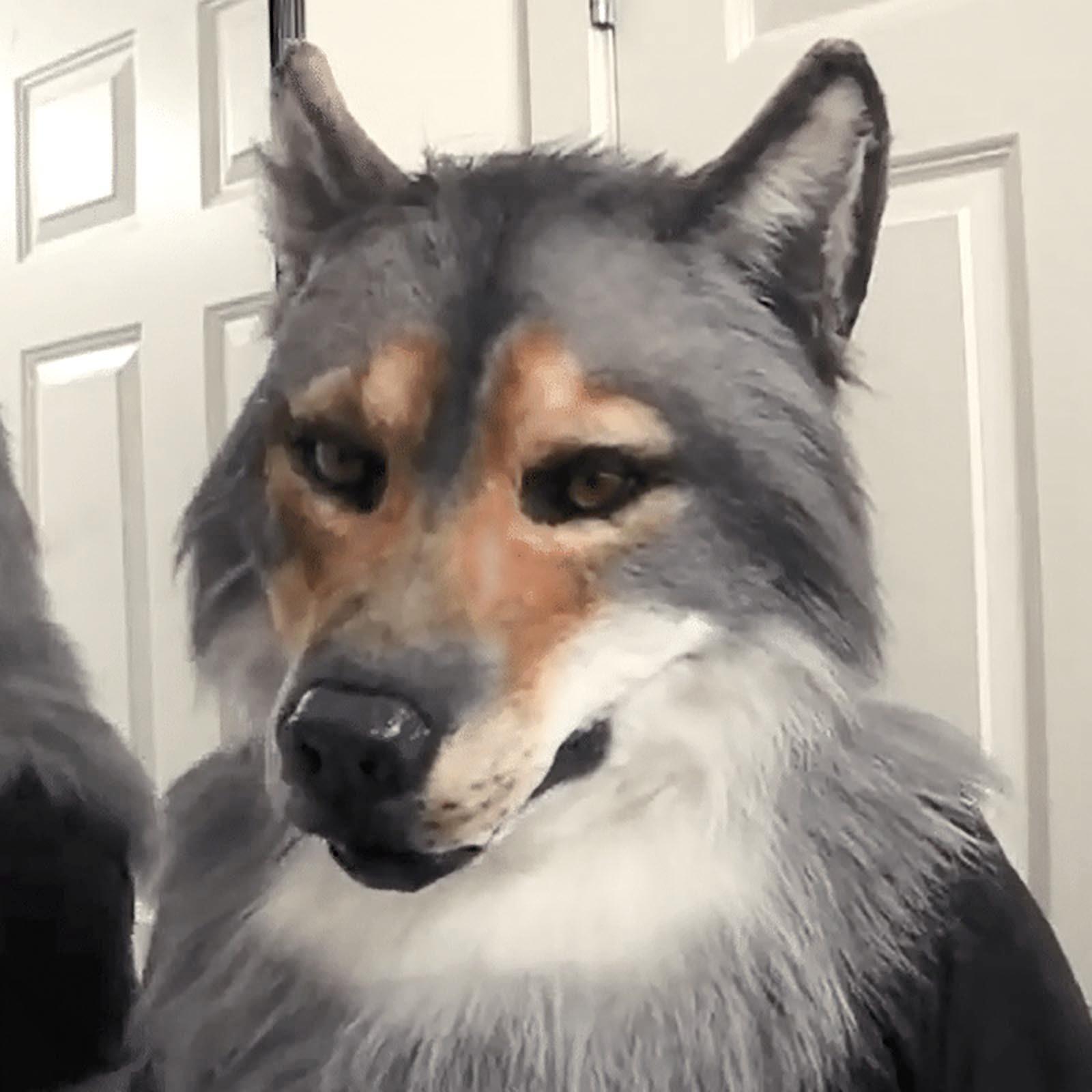 Kopfschmuck Kostüm Maske Wolf Kopfbedeckung Kostüm Maske Wolf Maske schwarz
