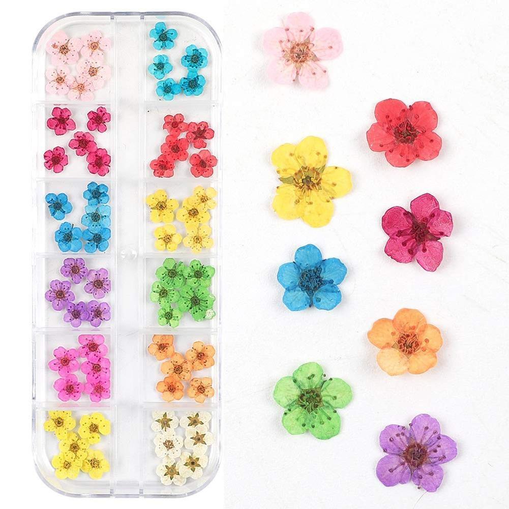 3D-Nagelmaniküre Getrocknete Blumen 12 Sorten Bunt Realistisch DIY-Bastelarbeiten Harzschmuck Ornamente Handyhüllen Einladungskarten Dekoration 12 Dried Flowers - FX#1