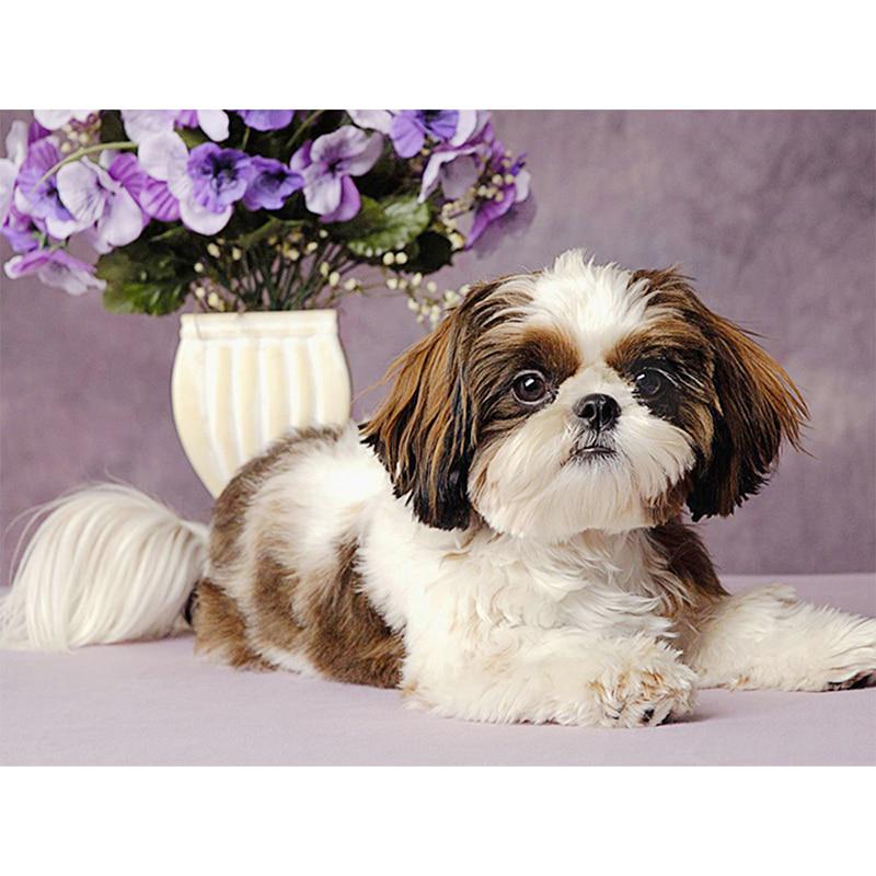 Diy 5D Diamant Malerei Tiere Hund Foto Diamant Stickerei Tiere Home Decor Geschenk 20X30CM