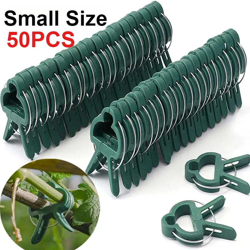 50 Stück Pflanzen-Befestigungsklammern, wiederverwendbar, für Gartengewächshaus, Klemmhalterung für feste Pflanzen, Ranken, Blumen, Sämlinge, Stiel-Unterstützungswerkzeuge Small-50Pcs