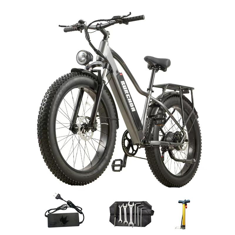 BURCHDA RX20 Elektrisches Fahrrad für Erwachsene, E-Bike mit 1500W Spitzenleistung und 48V 20Ah abnehmbarem Akku, Elektrisches Mountainbike mit Fat-Reifen