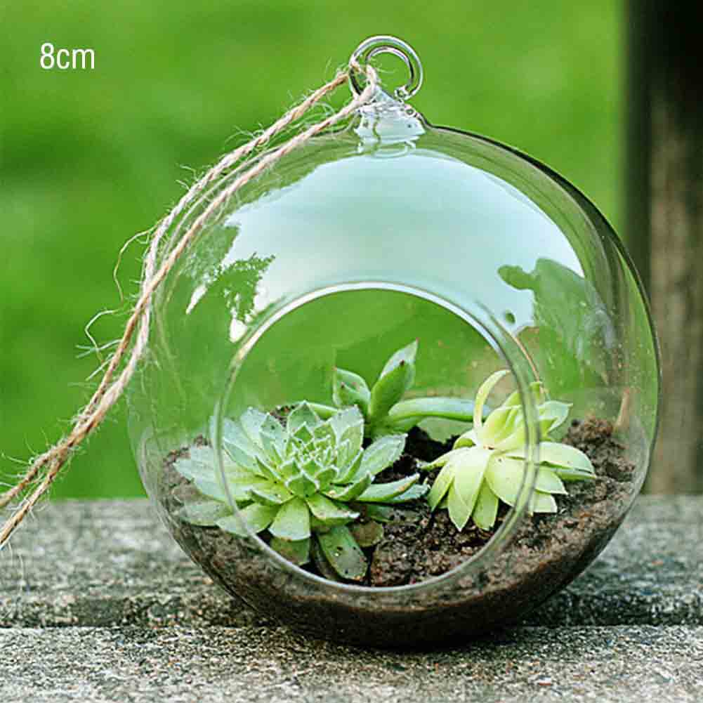 Garden Home Glaskugel zum Aufhängen, Teelichter, Terrarium A