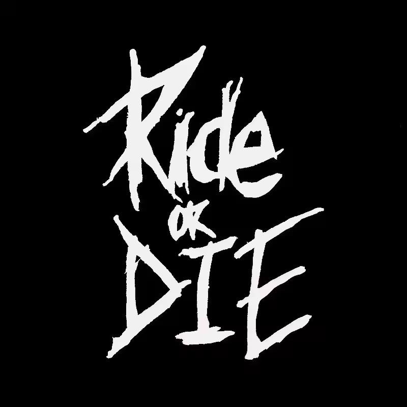 5,6 x 8 cm Fahrradrahmenaufkleber Ride or Die Oberrohraufkleber für MTB Fahrrad Dekorativer Rahmen Fahrrad Auto Motorrad Zubehör 5.6x8CM
