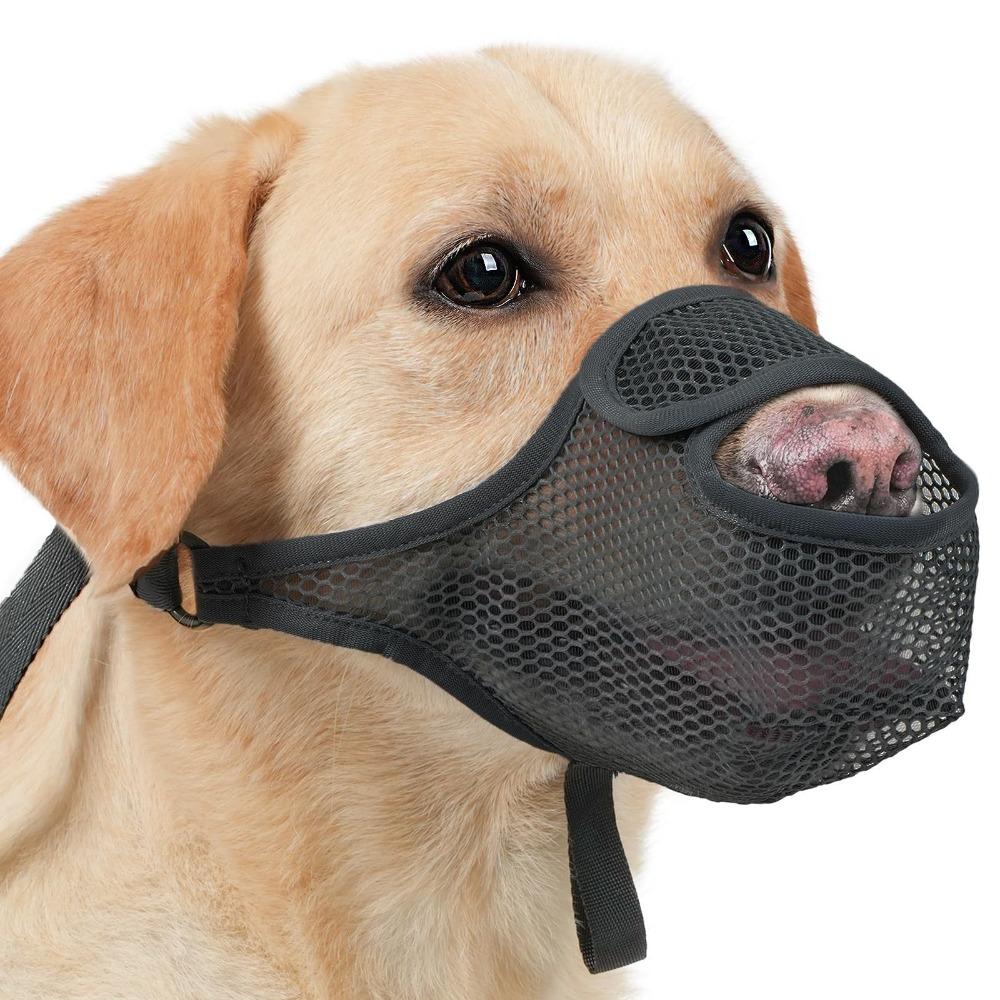 Verstellbarer Riemen Hunde Maulschutz Anti-Biss Haustier Maulmaske Strapazierfähiger Netz Maulkorb für Hunde Familiengebrauch S schwarz