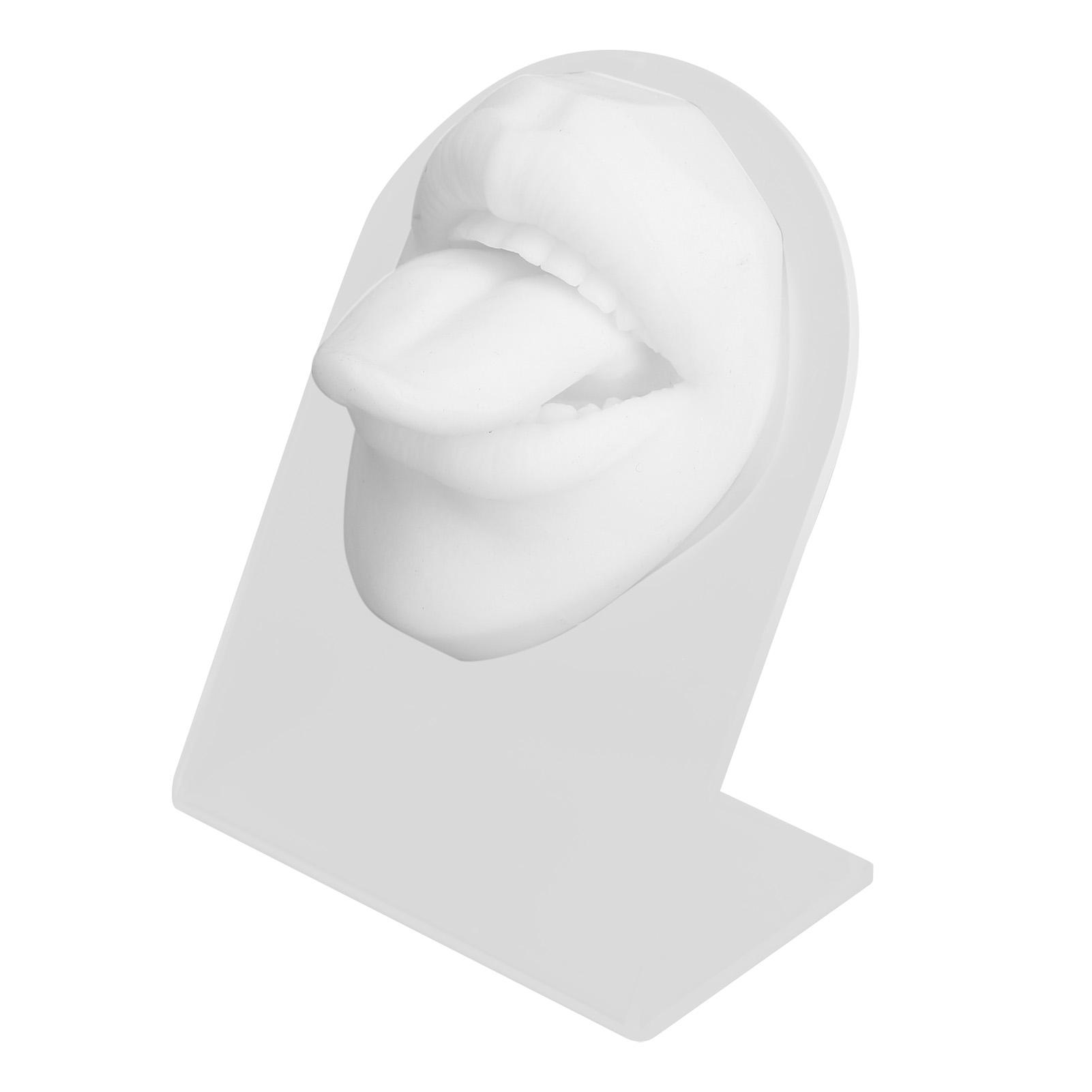 Silikon Zungen-Mund-Modell mit Ausstellungsständer Simuliertes 3D Zungenpiercing Körper Übungsmodell weiß