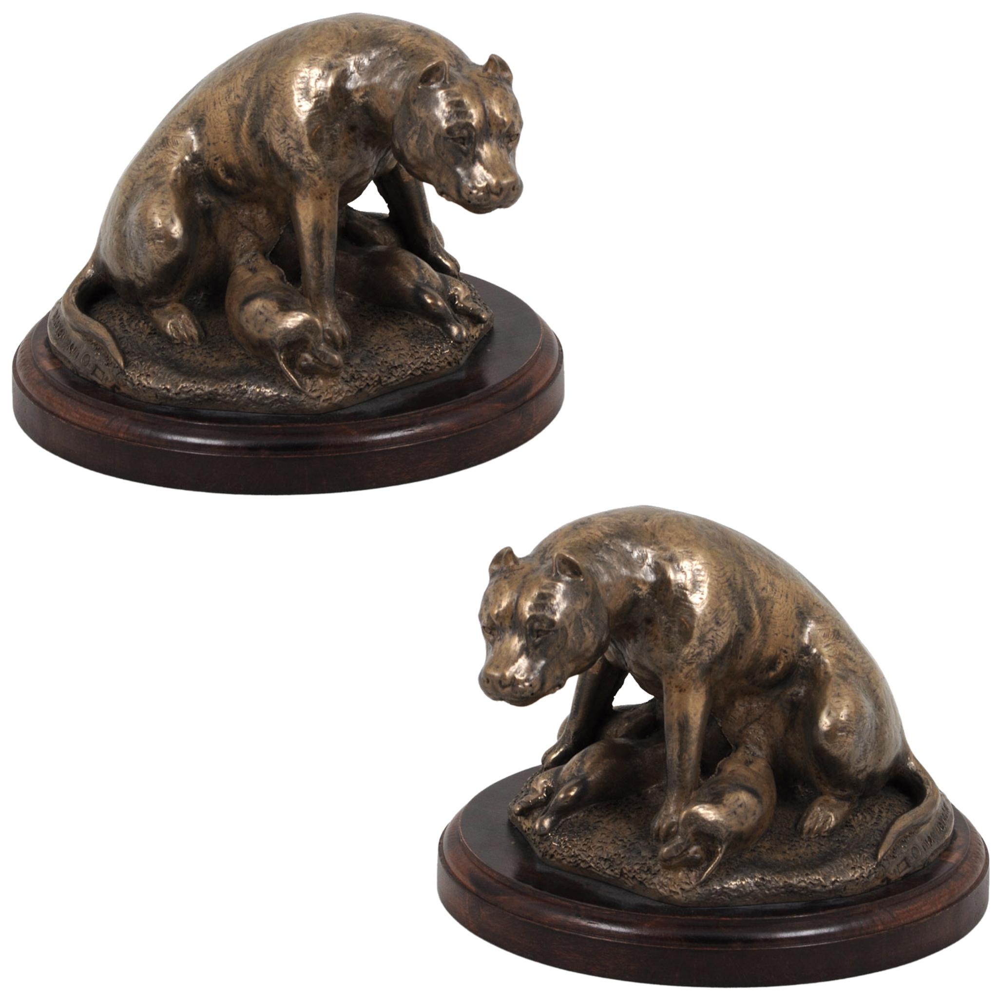 American Staffordshire Terrier, Amstaff I - Hundestatue, Figur für Büro, Trophäe für Hundeausstellung von Marke Art-Dog braun