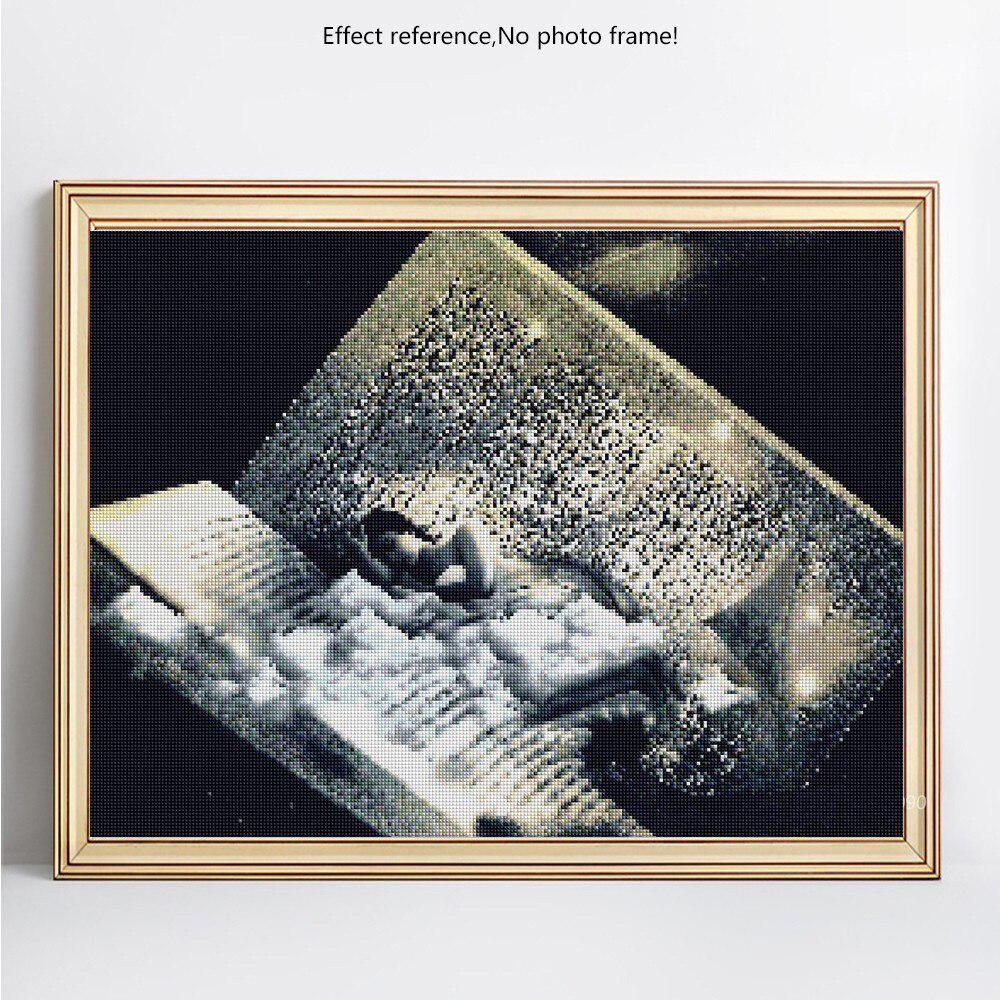 Diamant-Stickerei, Mädchen-Handarbeit, Diamant-Malerei, vollständige Anzeige von Bildern mit Strasssteinen 20X30