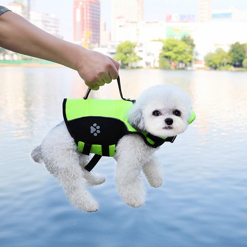 Hunde Schwimmweste Mit Abnehmbarem Frontschwimmer Handgriff Haustier Schwimmwesten Outdoor Training Schwimmkleidung Für Kleine Mittlere Große Hunde (as the picture,XL)