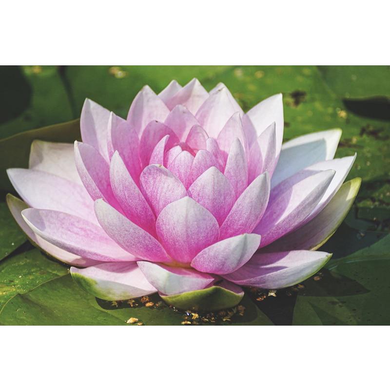 5D-Diamantgemälde, Rosen-Blumen-Landschaft, Kreuzstich, 5D-DIY, Blumen-Diamant-Stickerei 20X30CM