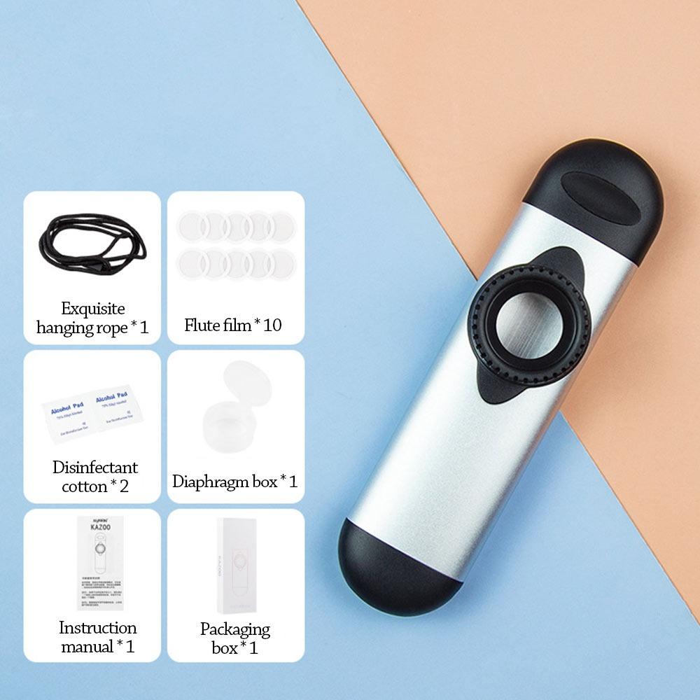 Lustige Musikinstrumente Leicht zu lernen Musikpfeife Spielzeug Kazoo Flöte Jungen Mädchen silber
