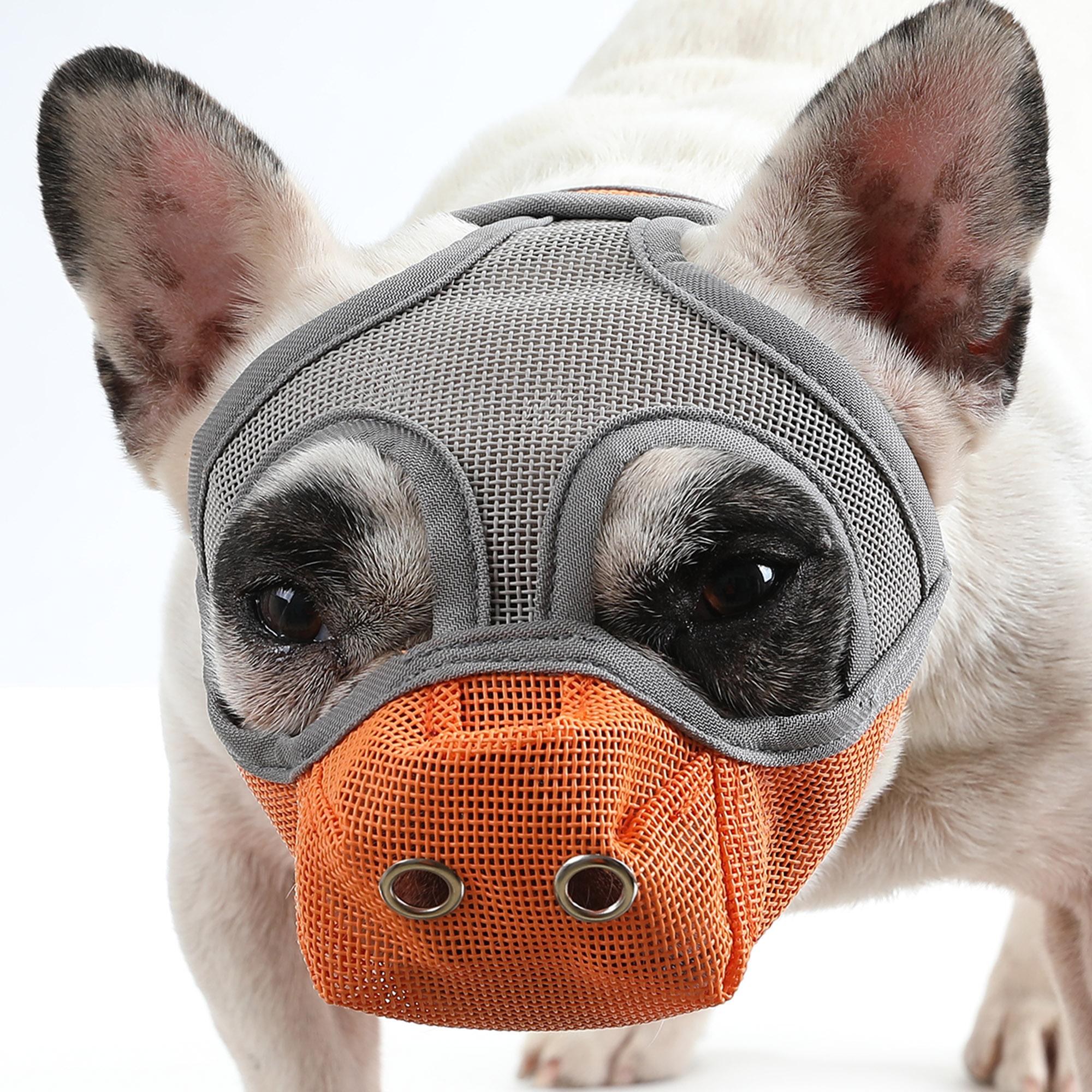 Maulkorb für Hunde, atmungsaktives Netzgewebe, für Hunde mit kurzer Schnauze, verhindert Beißen, Bellen Small orange/grau