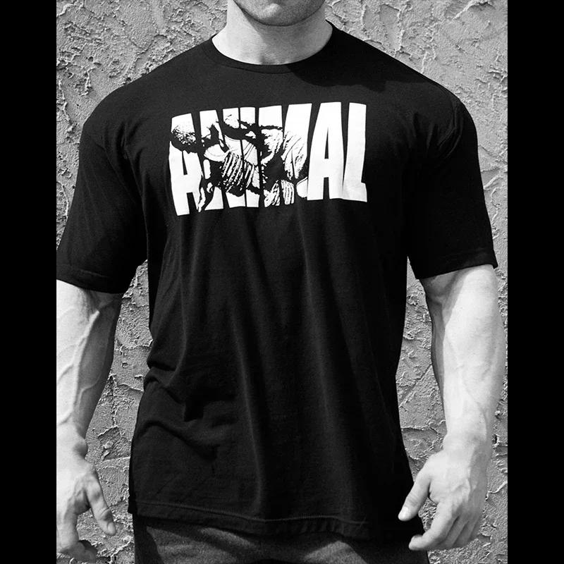 Sommer Fitnessstudio Fitness T-Shirt Locker Herren Baumwollshirt Bodybuilding Training Herren T-Shirt Übergröße Sport Kurzarm Jogger T-Shirt M orange