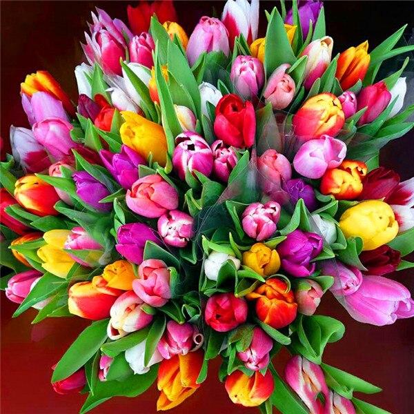 5D Diamant Malerei Pfingstrose Strass Kit Diamant Stickerei Blume Volle Runde Bohrer Kreuz Stich Handarbeit Wohnkultur Full Round 60x60CM