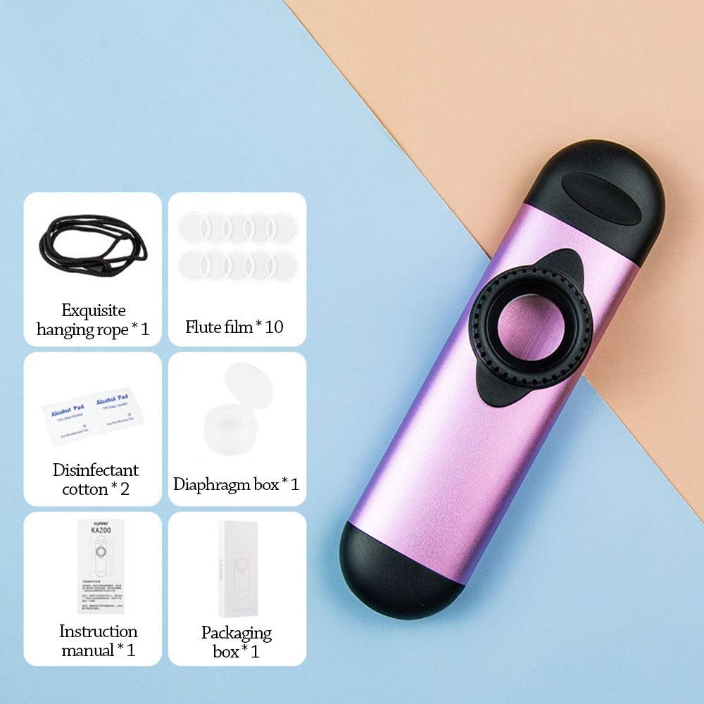 Lustige Musikinstrumente Leicht zu lernen Musikpfeife Spielzeug Kazoo Flöte Jungen Mädchen violett