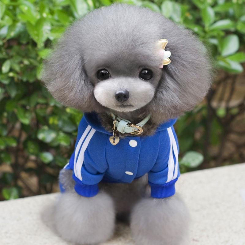 XS-XXL Haustier Hund Kleidung Warme Hund Overall Katze Welpen Pyjamas Kleidung Verdicken Haustier Hoodie Mantel Outfit Für Hunde S blau