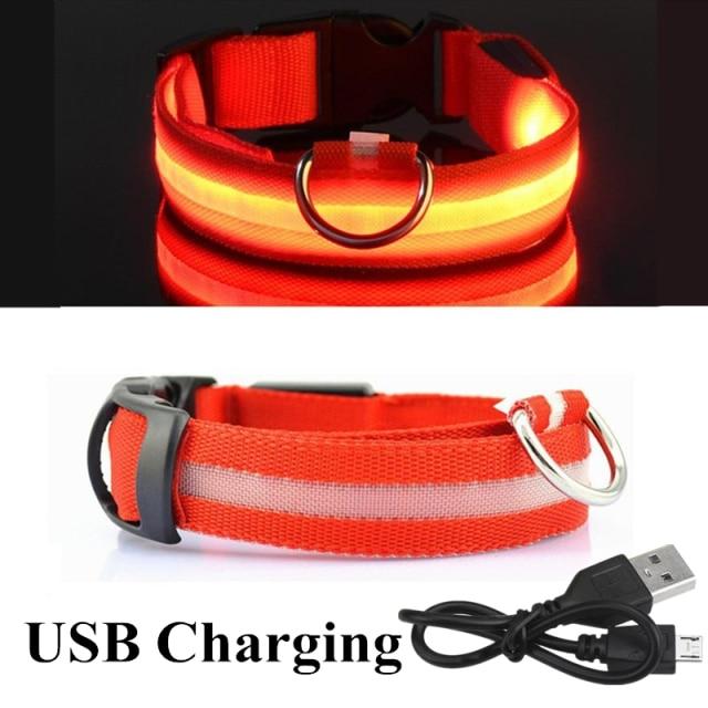 USB wiederaufladbare Haustier Hund LED leuchtende Kragen Haustier leuchtende blinkende Halskette Outdoor Walking Hund Nacht Sicherheitsbedarf S(35-43cm)