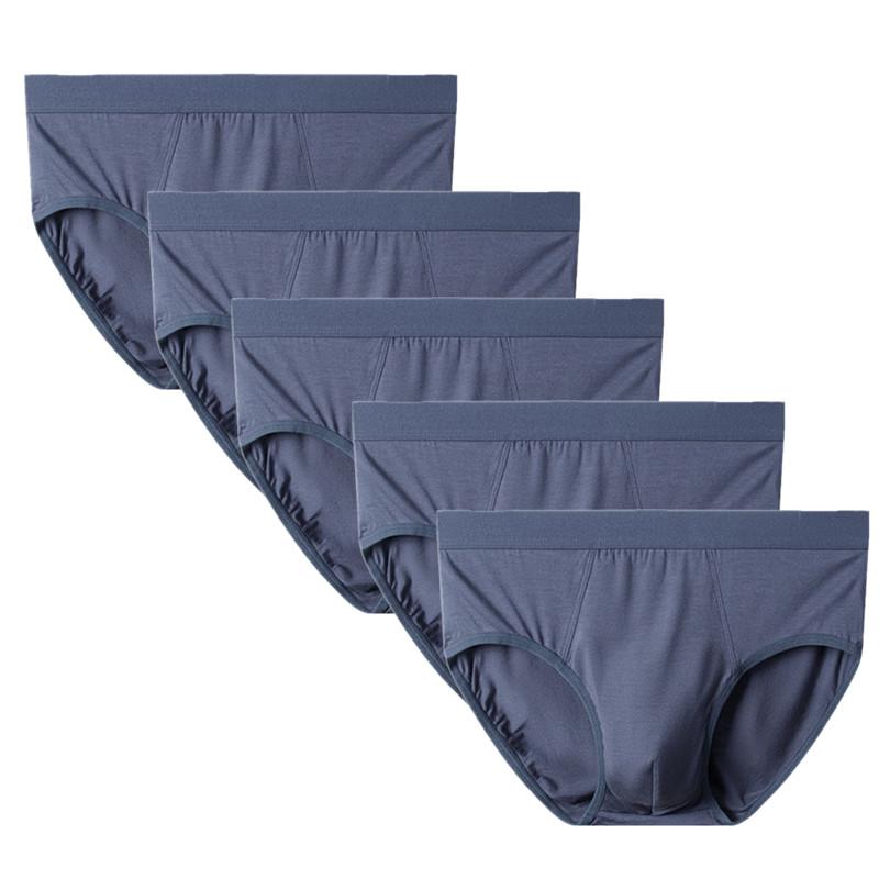 5 STÜCK Herren Slips Unterwäsche Atmungsaktive Slips Unterhosen Mittelhoch geschnittene Slips L XL 2XL 3XL 4XL XXL