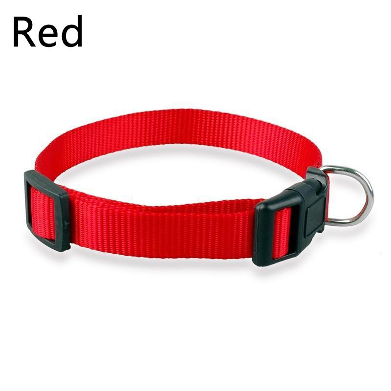 1PC Haustier Zubehör Haustier liefert Nylon Haustier Halskette Hundehalsband verstellbare feste Farbe Welpen Leine S rot