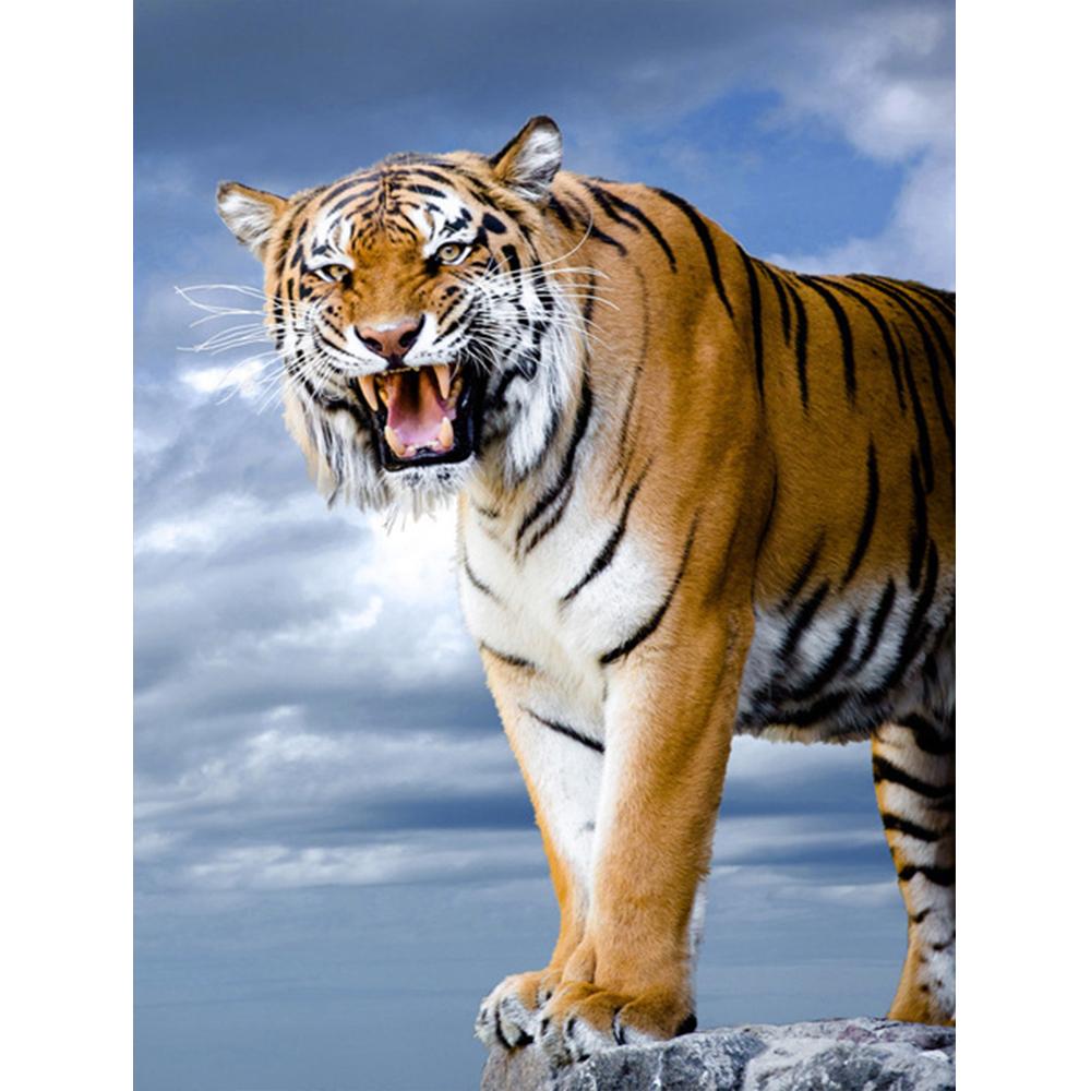 5D Diy Diamant Malerei Kreuzstich Kit Diamant Mosaik Stickerei Landschaft Tier Cartoon 3d Malerei Runde Diamant Geschenk Full Round 20X30CM hellblaue