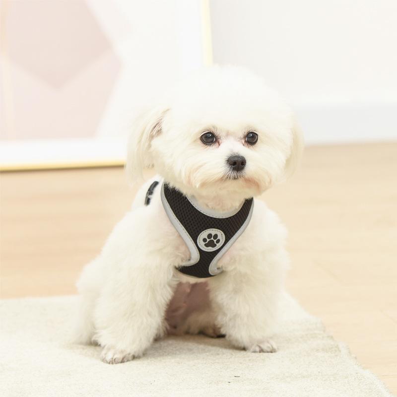 Haustier-Hundegeschirr, Netzstoff, atmungsaktiv, Sommer-Haustierwelpen, reflektierendes Hundewestengeschirr, weicher Brustgurt für kleine und mittelgroße Hunde S schwarz