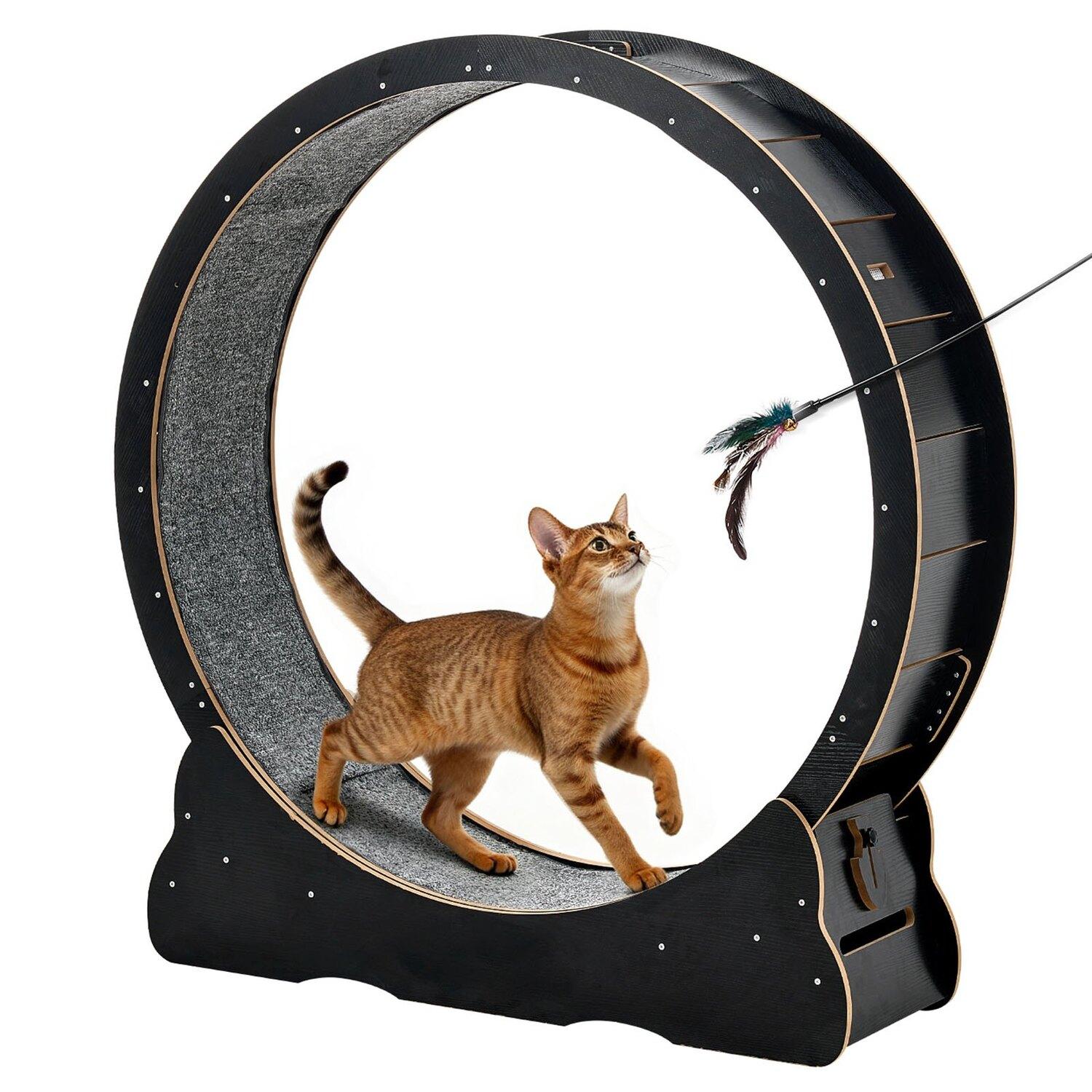 Katzen-Laufrad, 120 cm Holzlaufrad für Wohnungskatzen bis 12,7 kg, Laufband für Katzen mit Teppichbahn & Verriegelungsmechanismus, Leise