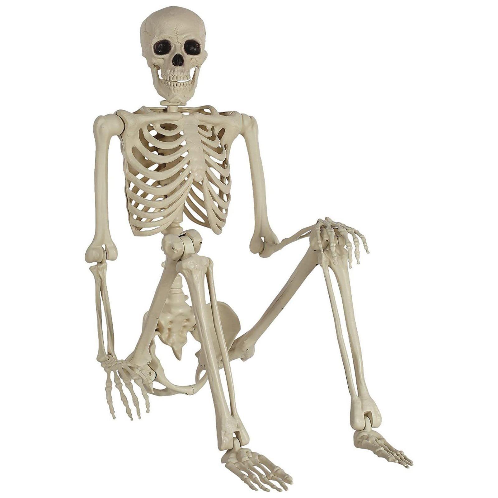 Halloween-Skelett, lebensgroß, realistische menschliche Knochen, PP-Material, sieben verstellbare Gelenke, geeignet für Halloween- oder Streichthemen S weiß